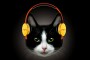 Cat-Headphones-640