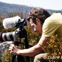 pierrechauffour