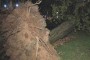 skeleton+tree