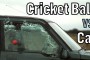img-smashing window 111