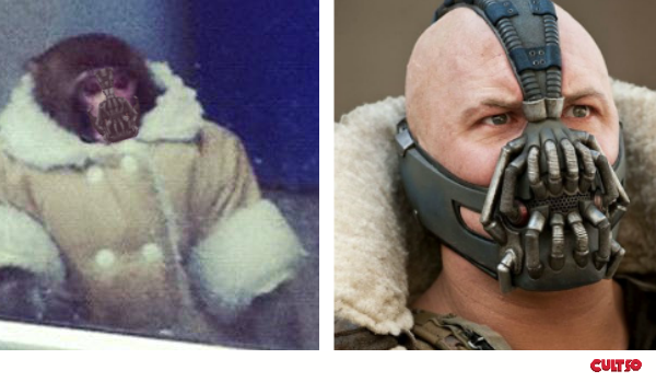whoworeitbetter