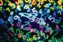 img-numbers img-numbers